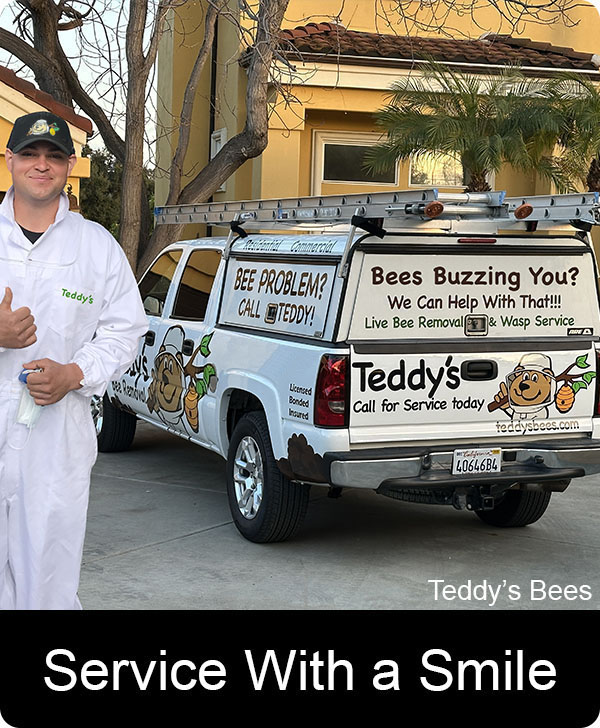 picture of a teddys bees service technician with a smile.